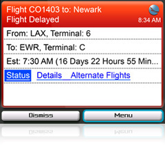 Automated Flight Alerts